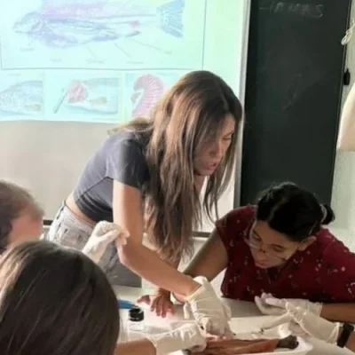 Educación inclusiva